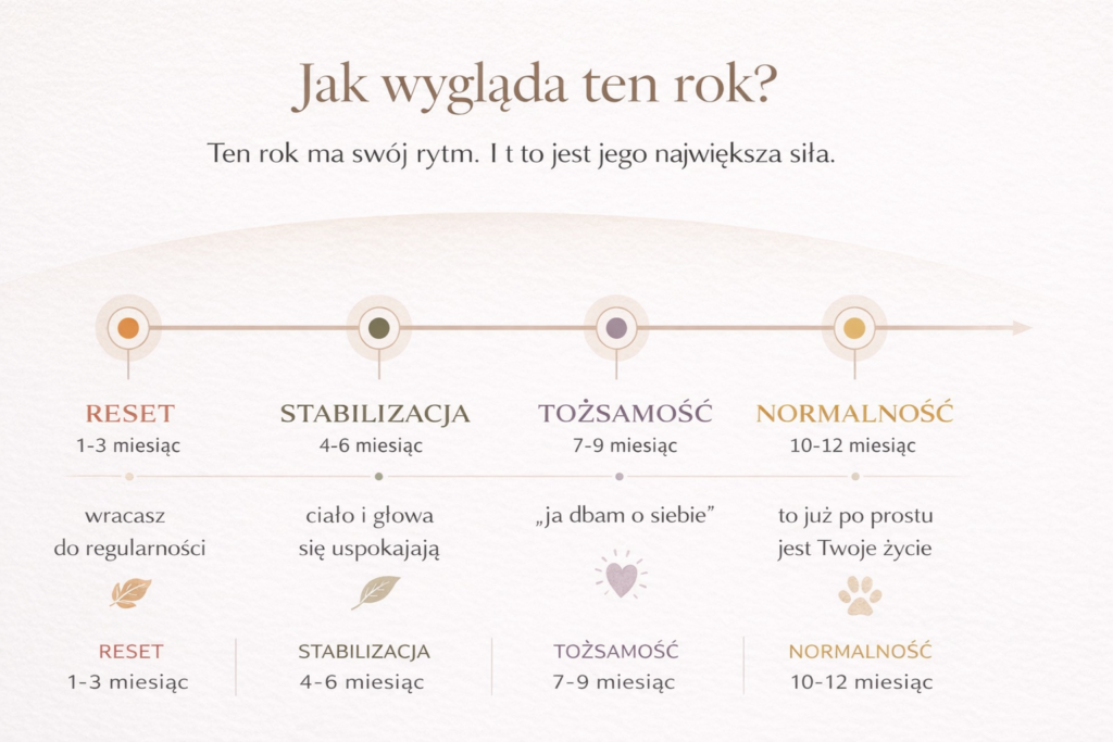 jwf rok